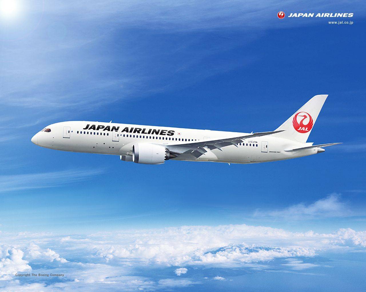 Японские авиалинии. авиакомпания japan airlines - miuki mikado • виртуальная япония