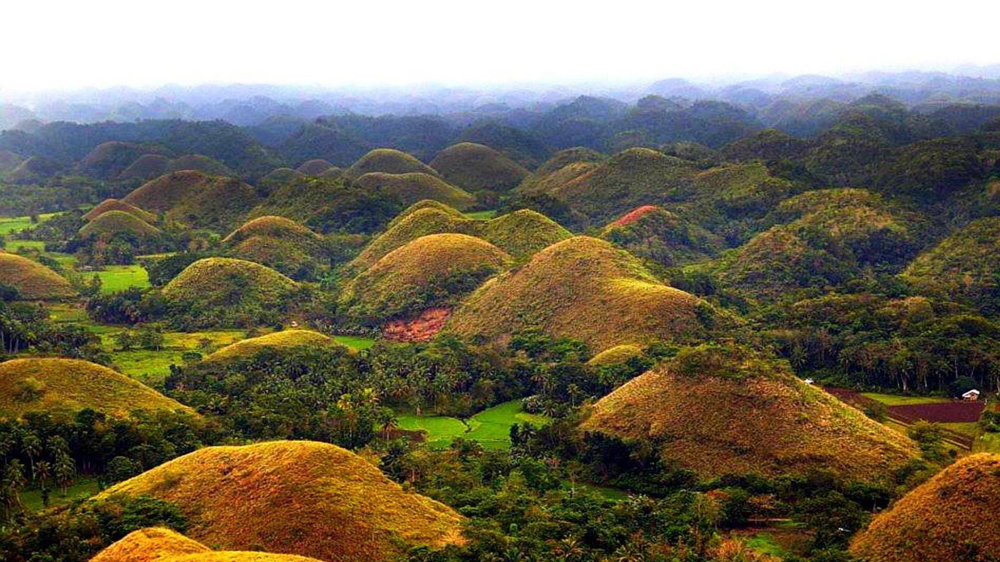 Шоколадные холмы и пучеглазые тарсиеры на острове бохол, или как мы попали в сказку на филиппинах