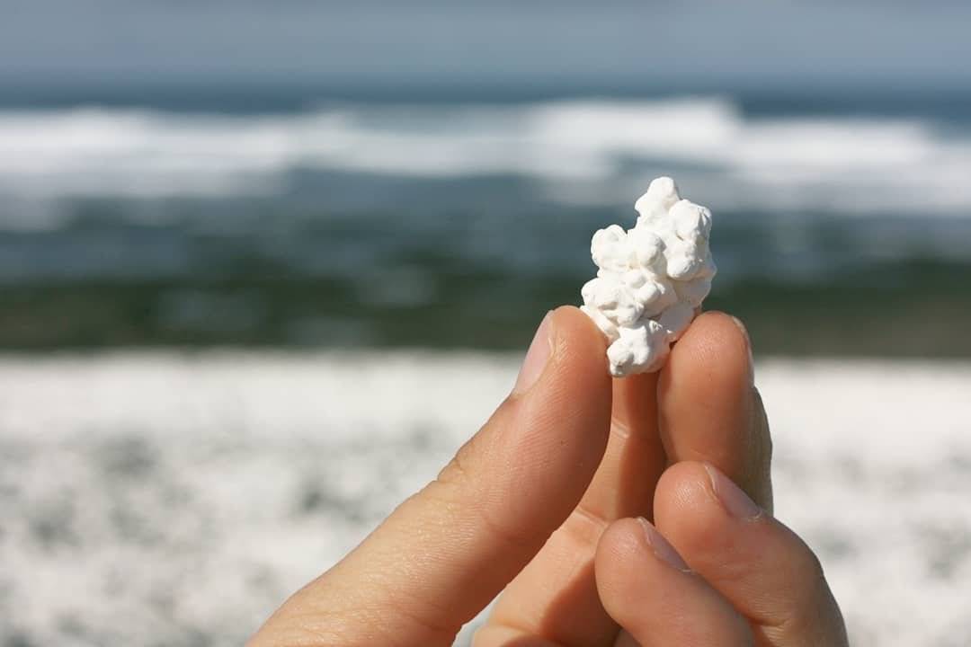Пляж попкорн фуэртевентуры рискует исчезнуть