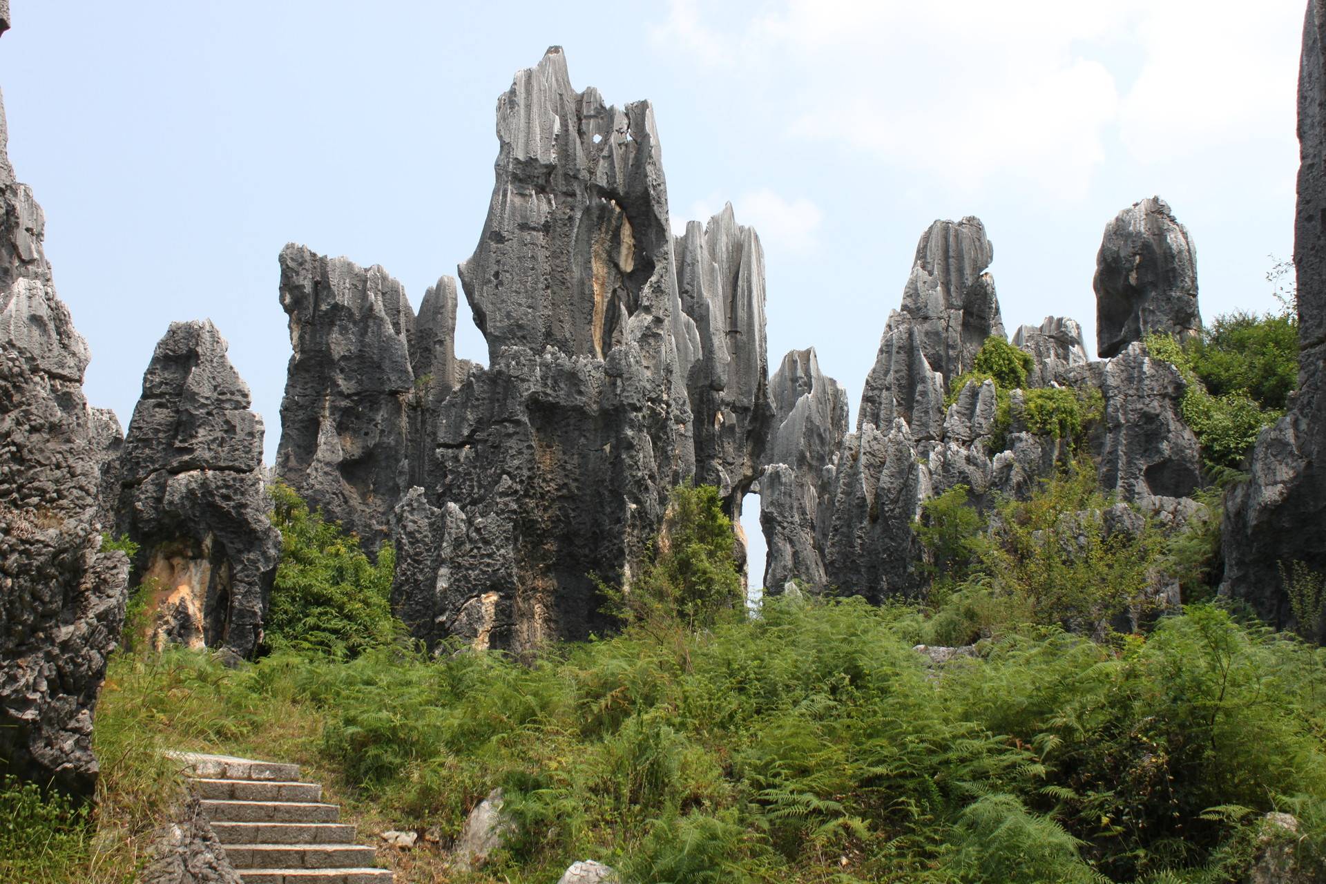 Каменный лес в национальном парке шилинь в китае