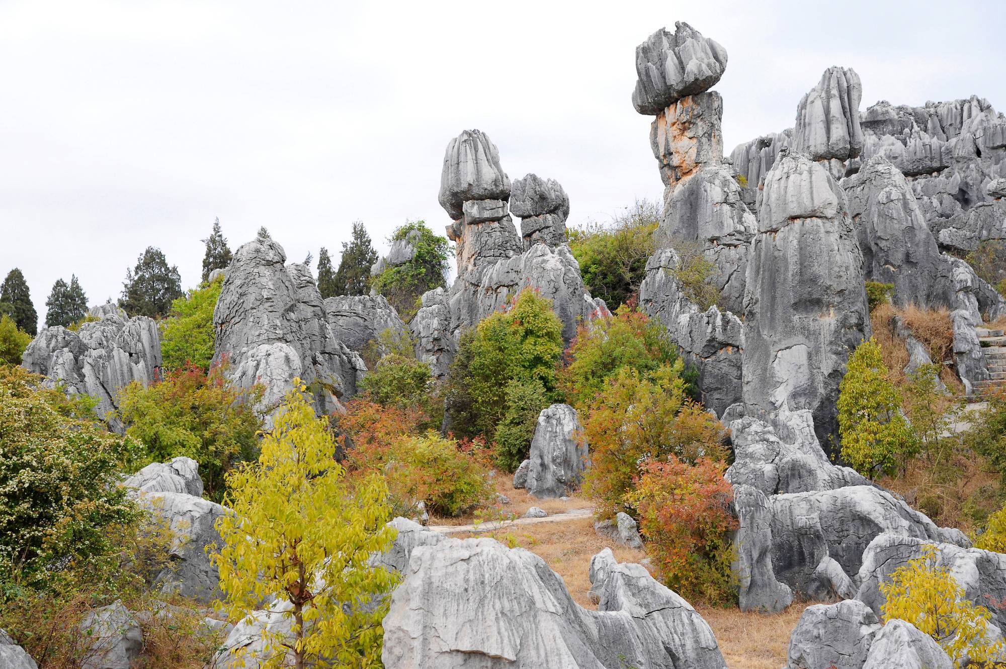 Каменный лес шилинь, застывшие легенды китая | tourpedia.ru