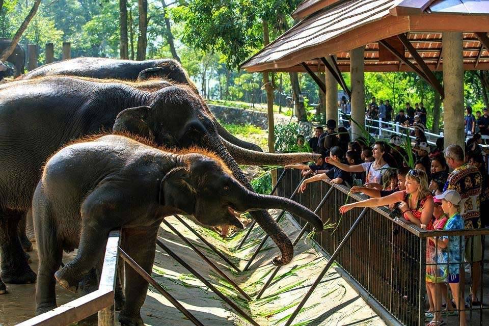 Зоопарк khao kheow. forest and wildlife park. — путешествуйте сами!