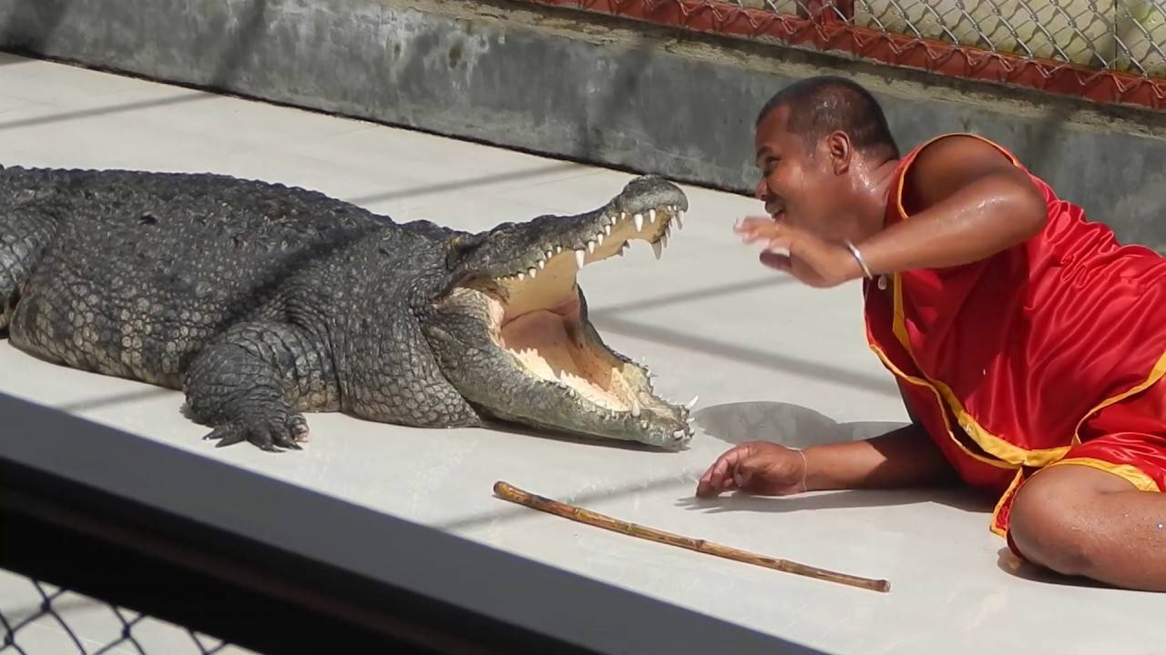 Таиланд | в стране добрых крокодилов