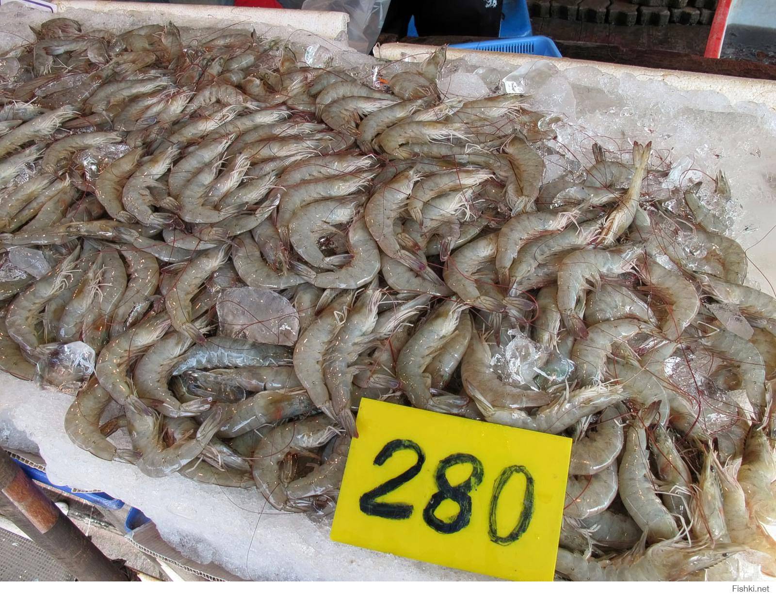 Морепродукты таиланда
