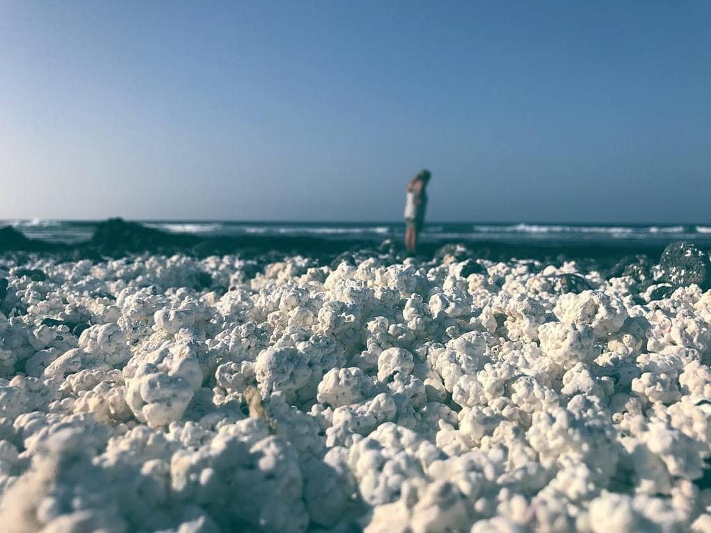 Пляж попкорн фуэртевентуры рискует исчезнуть