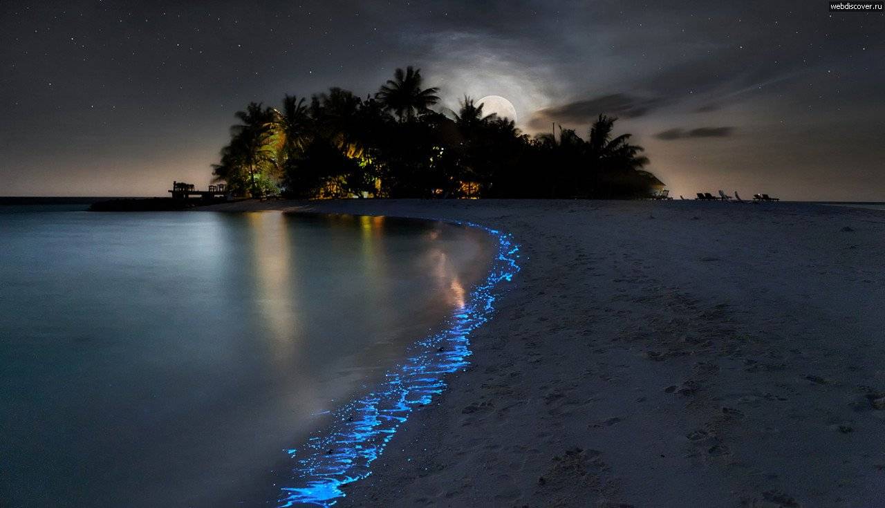30 лучших курортов на мальдивских островах - 2023