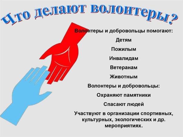 Волонтер: кто это и как им стать | рбк тренды
