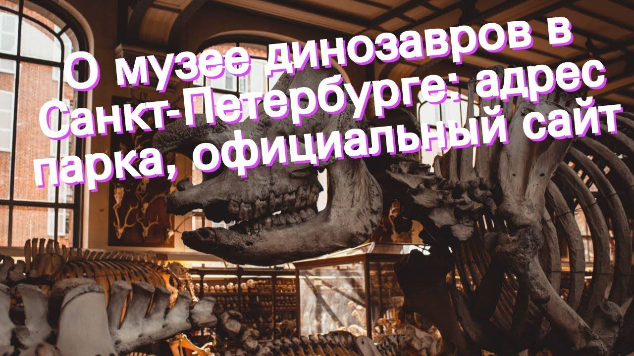 Музей динозавров в санкт-петербурге планета динозавров