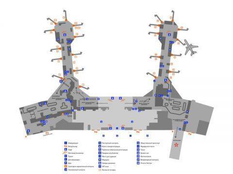 План аэропорта домодедово