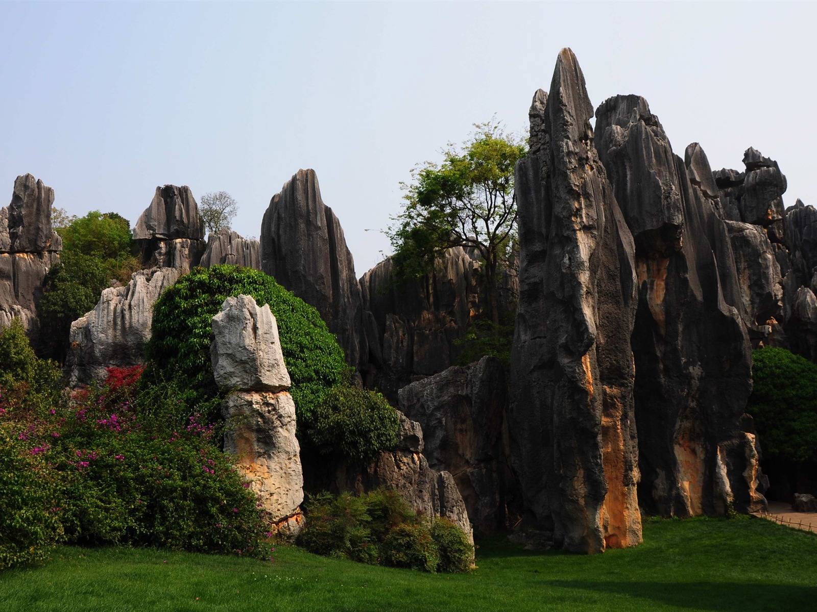 Каменный лес шилинь в китае