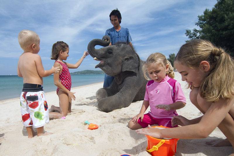 Топ-3 курорта в таиланде, куда можно поехать с детьми: полезные факты