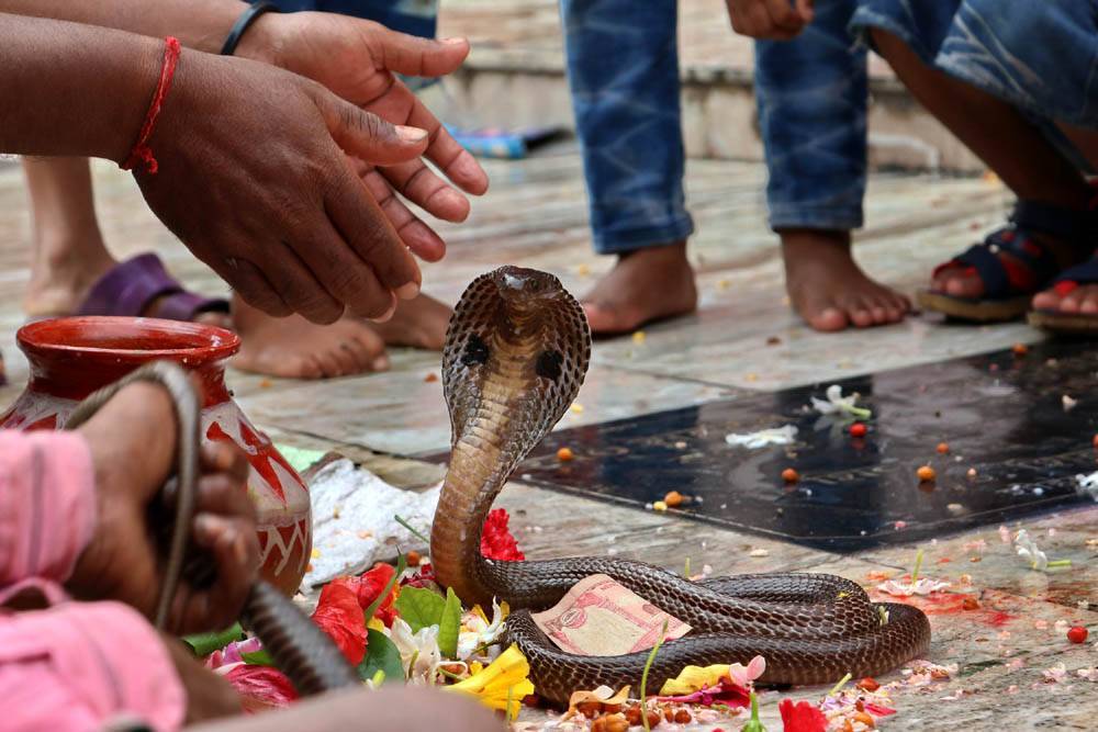 Красочный фестиваль ганеши чатуртхи в индии