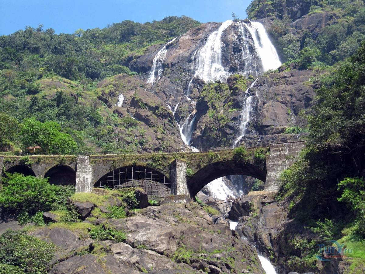 Водопад дудхсагар — жемчужина гоа и наша поездка на джипах по джунглям, индия