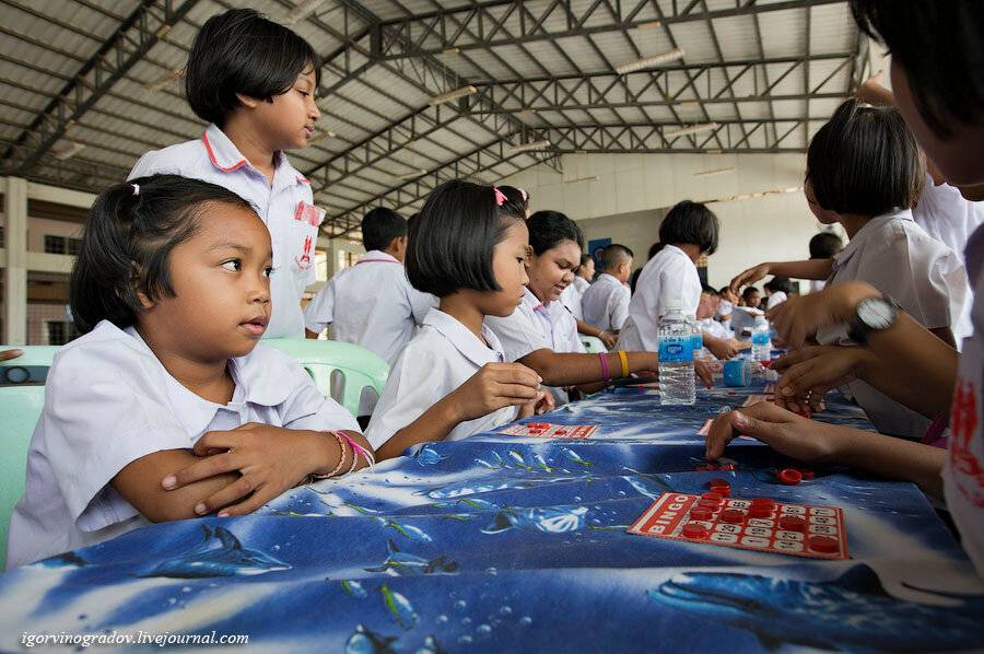Система образования в тайланде: об обучении для детей и студентов