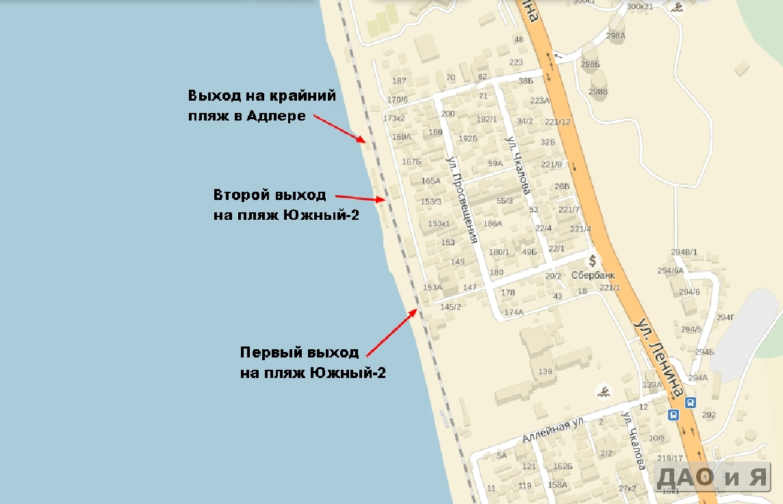 Пляж чайка в адлере – описание, фотографии, как добраться и интересные места поблизости | nicko.ru