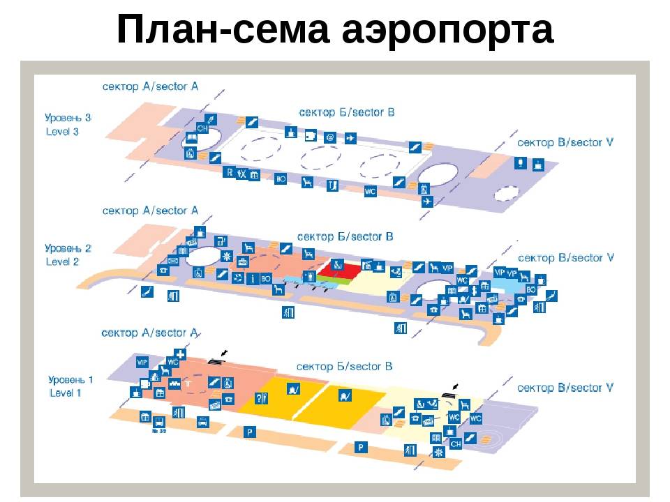 В каком районе петербурга находится аэропорт пулково | авиакомпании и авиалинии россии и мира