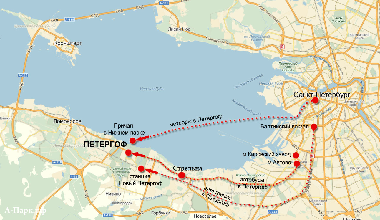 Туризм спб - как доехать до петергофа из санкт-петербурга