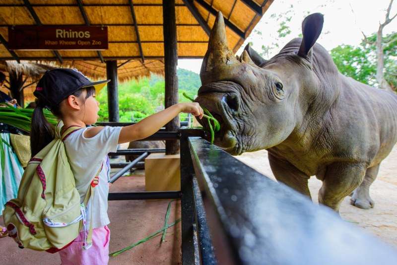 Зоопарк кхао кхео (khao kheo) из паттайи | бронирование онлайн