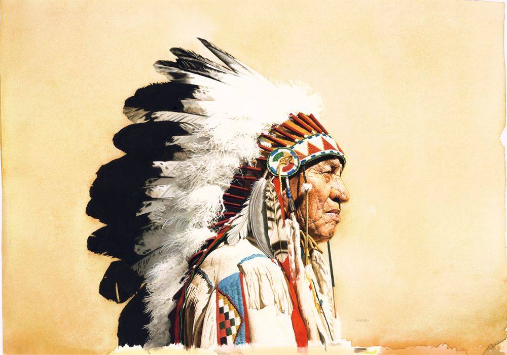 Две составные части генофонда индейцев | генофонд рф