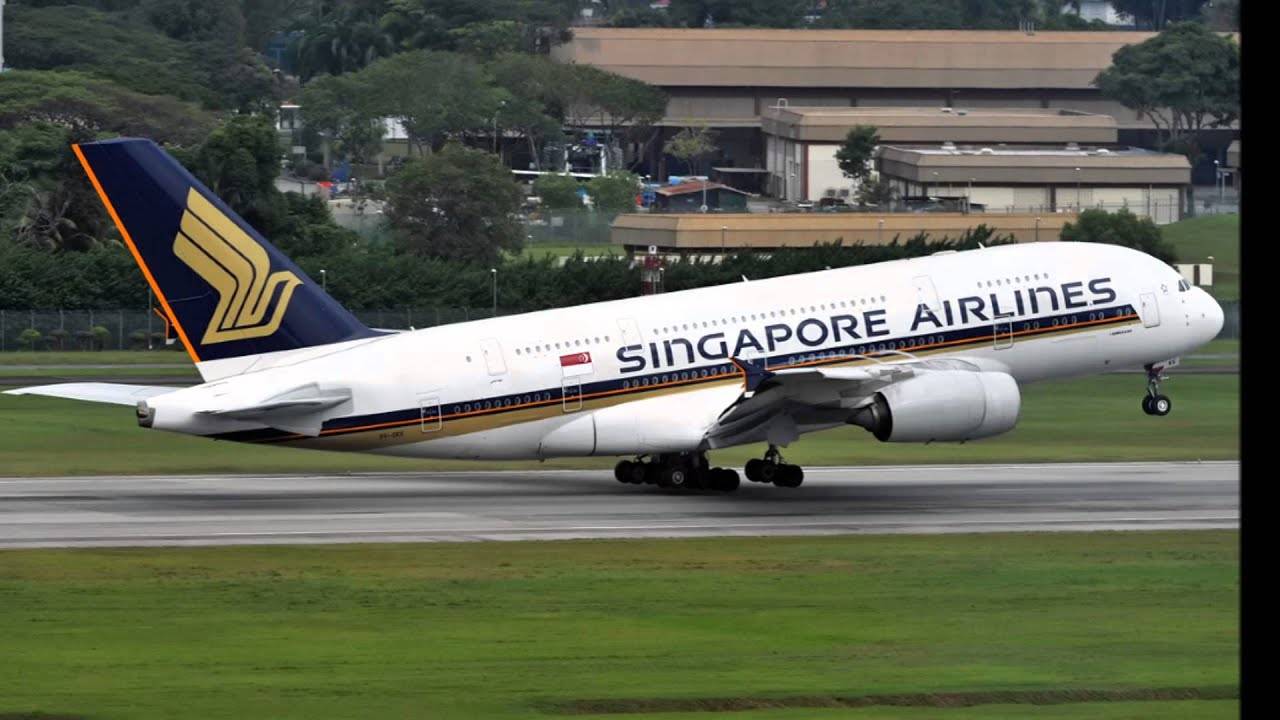 Tiger airways singapore (тайгер эйрвейс сингапур): контактная информация, услуги и классы обслуживания, цены и отзывы