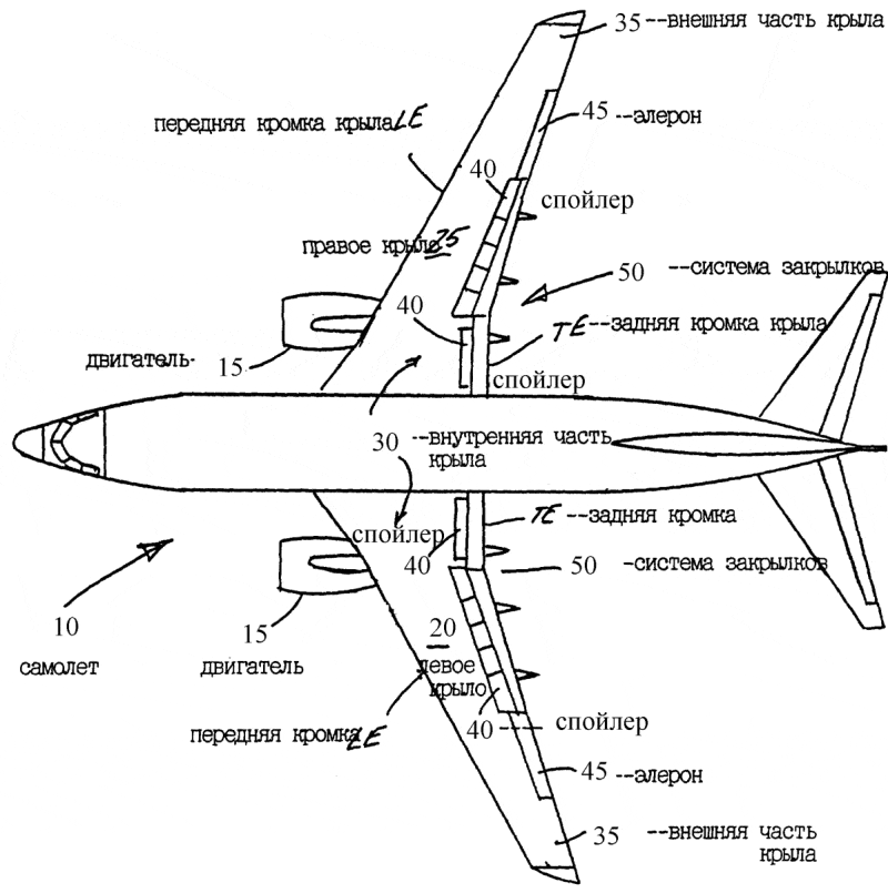 Части самолета: конструктивное значение и особенности эксплуатации. полет птиц строение крыла птицы