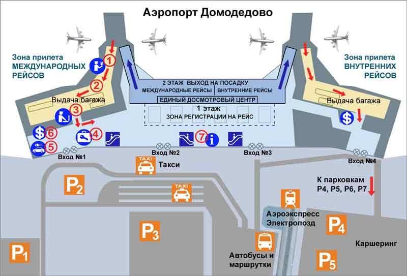 Домодедово карта терминалов