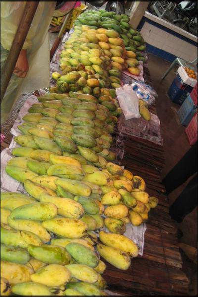 Неземной вкус манго. применение, полезные свойства