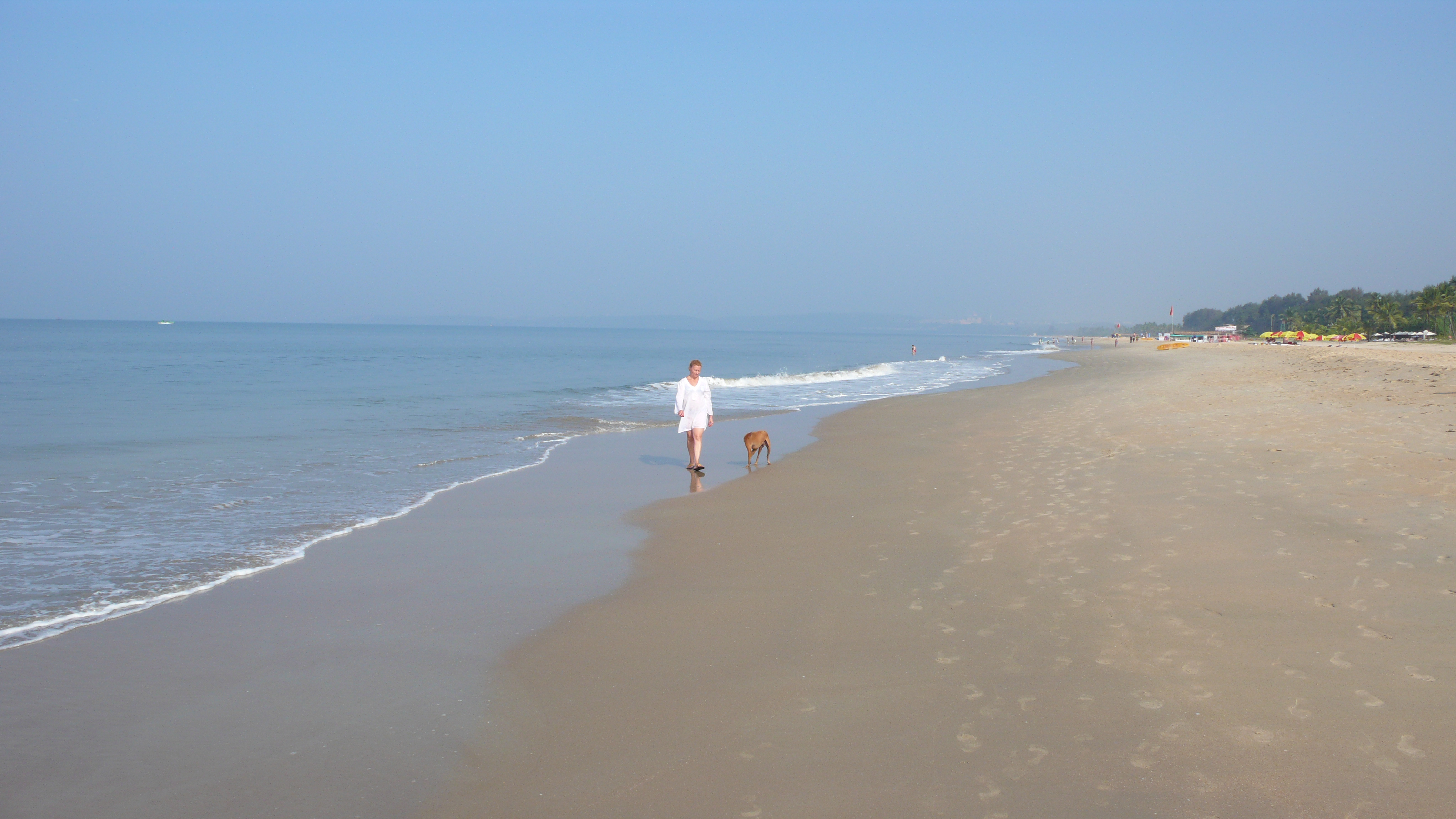 Пляж маджорда в гоа, индия