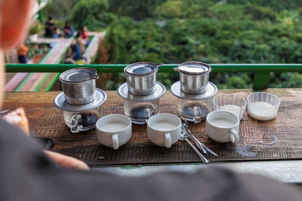 Вьетнамский кофе: как выбрать и как готовить. все про кофе во вьетнаме