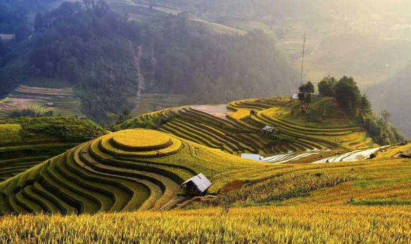 Рисовые террасы тегаллаланг, индонезия – обзор