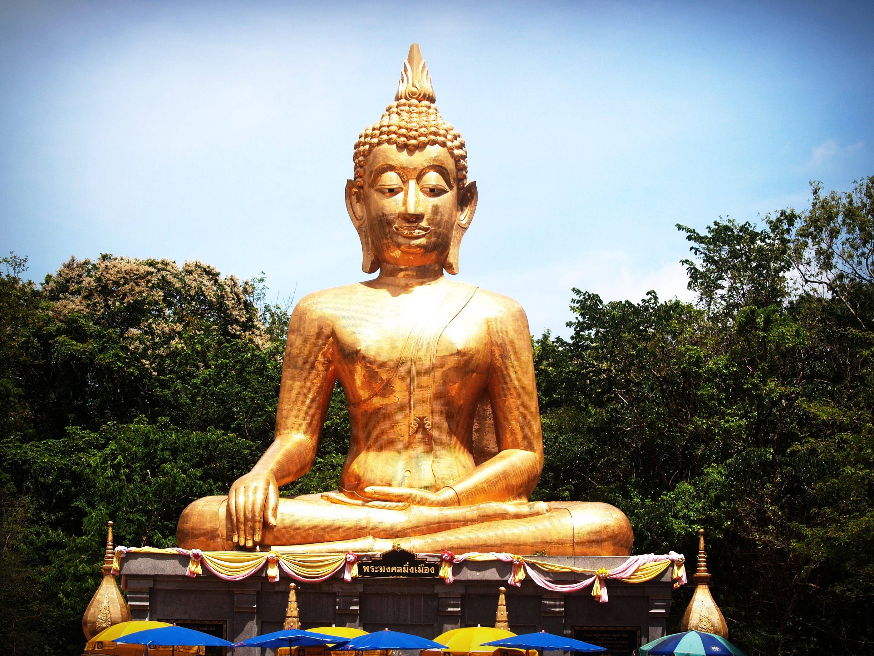 Буддизм. завоевание индии | 5 класс | всеобщая история