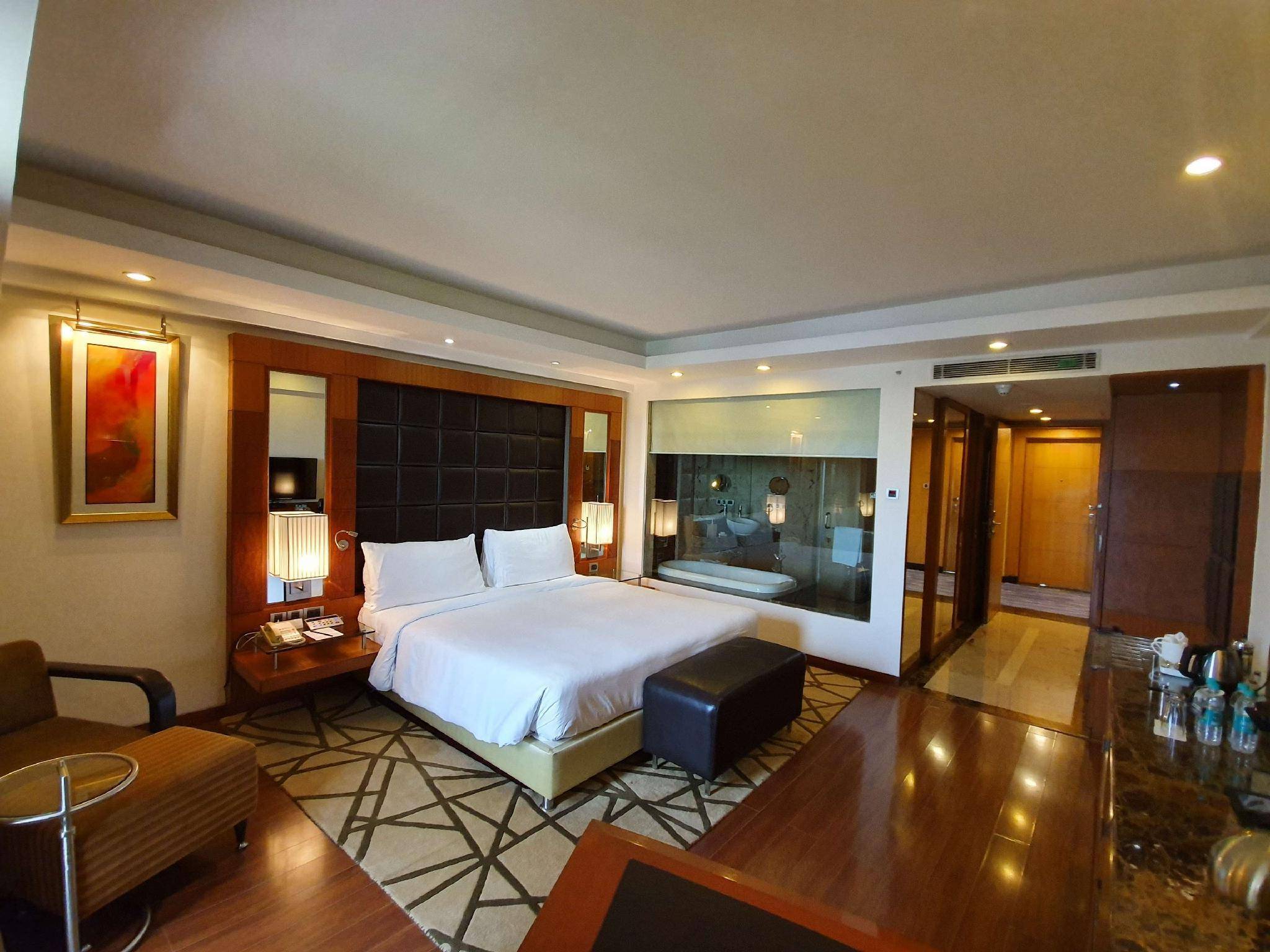 “radisson blu plaza” new delhi - book  5 star luxury hotels |new-delhi-hotels.com