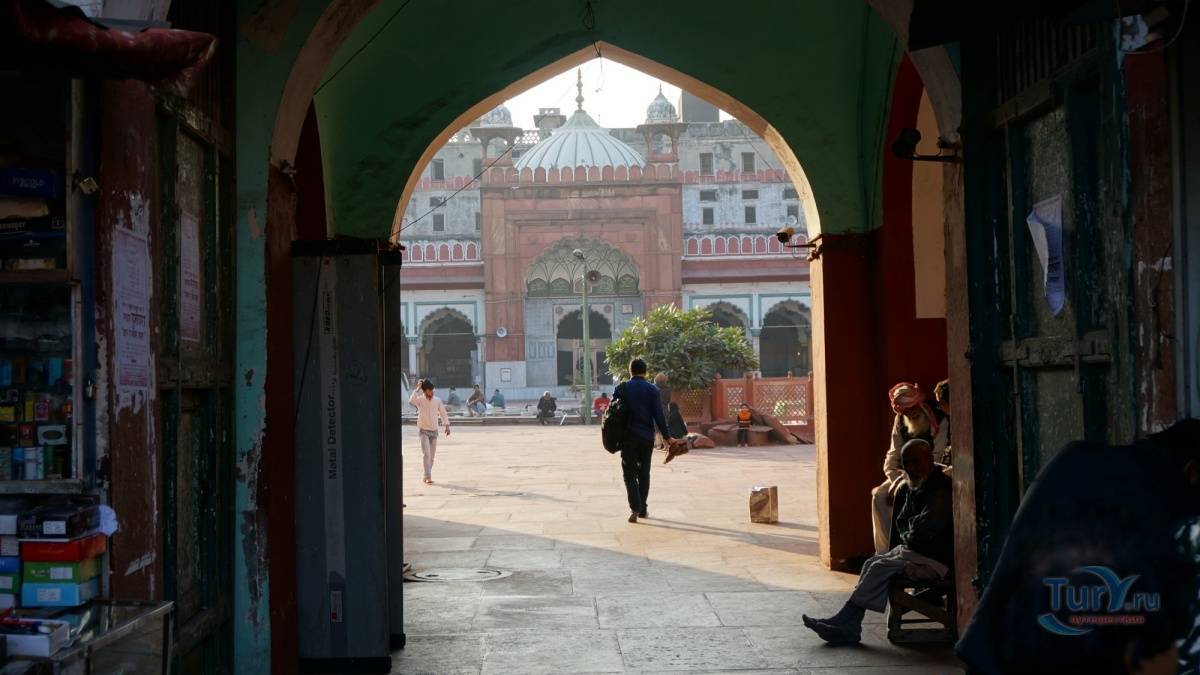 Чем манит туристов «розовый город» джайпур