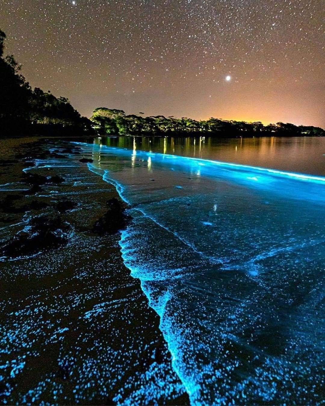 Ваадху на карте мальдивских островов: "море звезд", светящийся планктон, пляжи