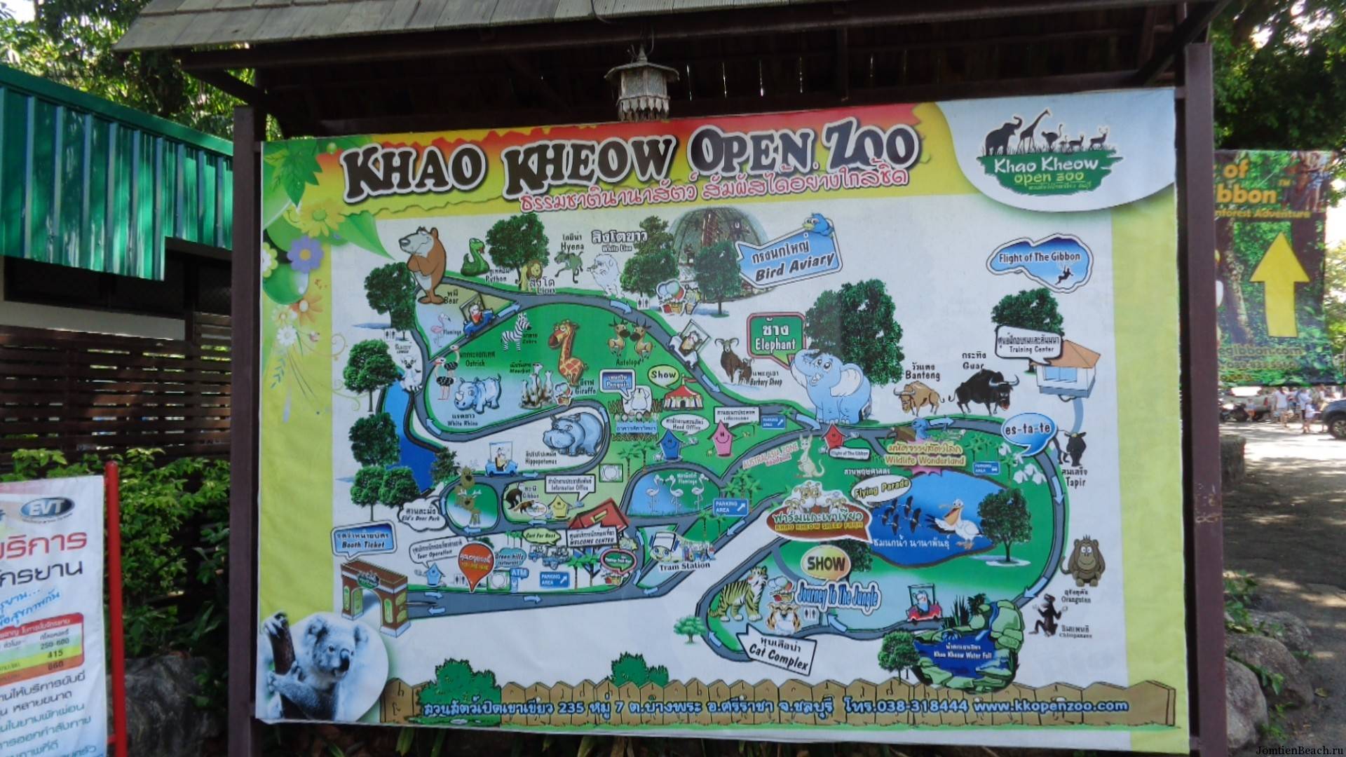 Зоопарк «као кео» в паттайе: история, животные зоопарка, адрес и фото
