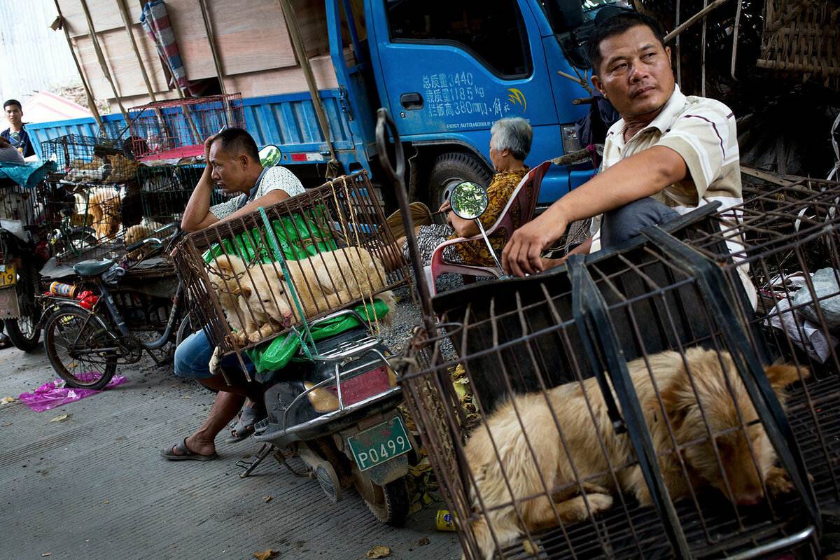 Ухань Китай рынок животных