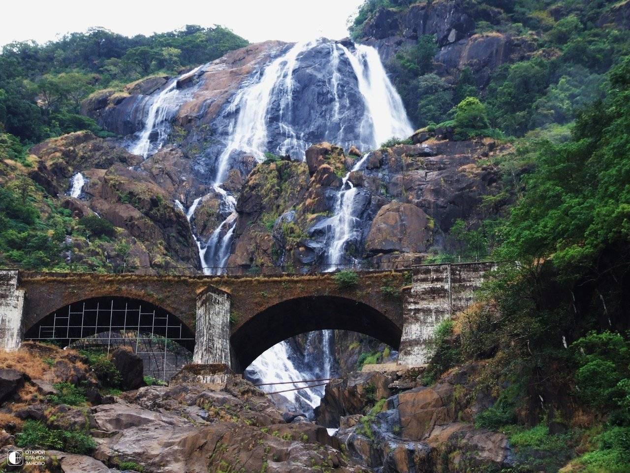 Водопад дудхсагар (dudhsagar waterfalls)