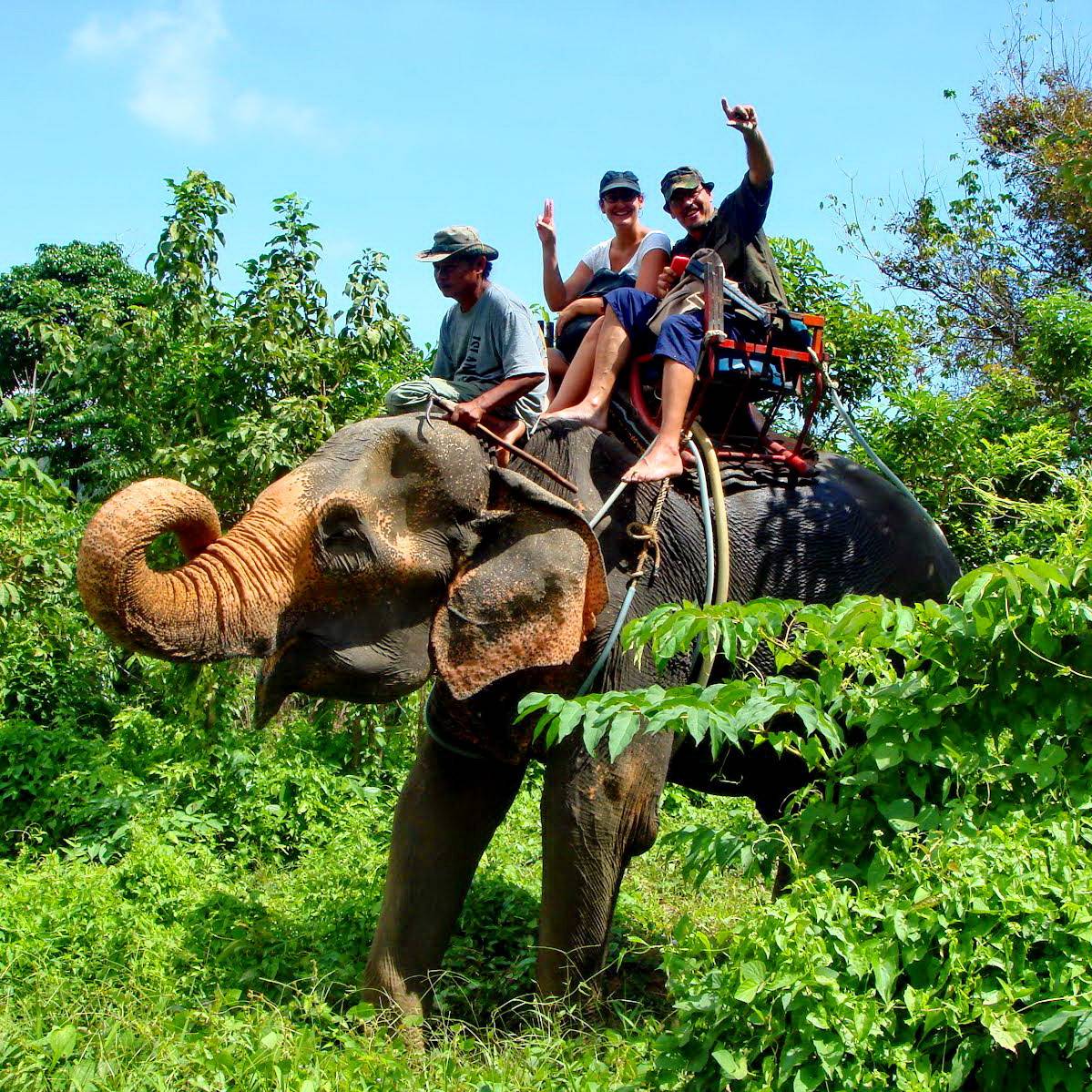 тайланд слоны
