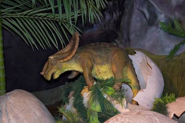 О музее динозавров в санкт-петербурге: адрес парка, официальный сайт