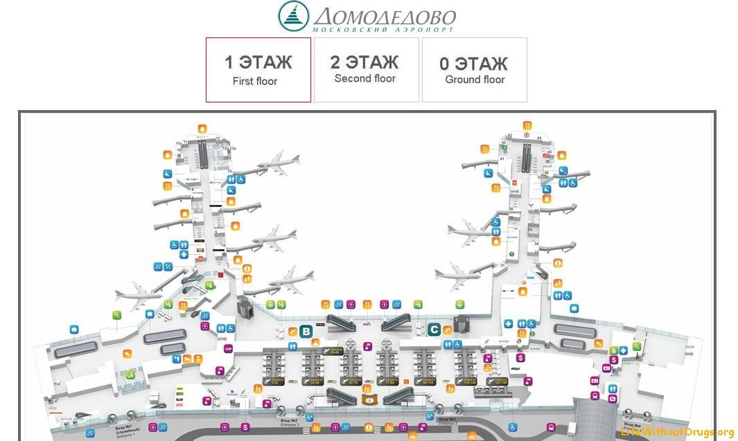 Международный терминал домодедово какой. Схема аэропорта Домодедово 1 этаж. Домодедово аэропорт план аэропорта. Терминал 1 Домодедово на схеме. Аэропорт Домодедово терминал 1.
