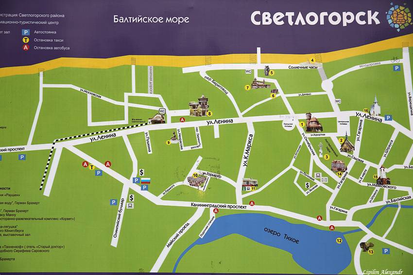 Зеленоградск: королевский курорт и город кошек