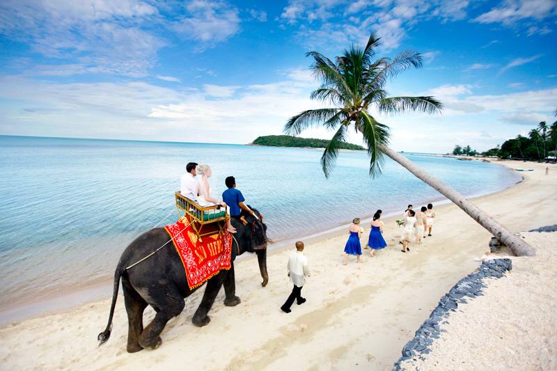 Когда лучше ехать в тайланд отдыхать 2023, когда лучшее время для пляжного отдыха