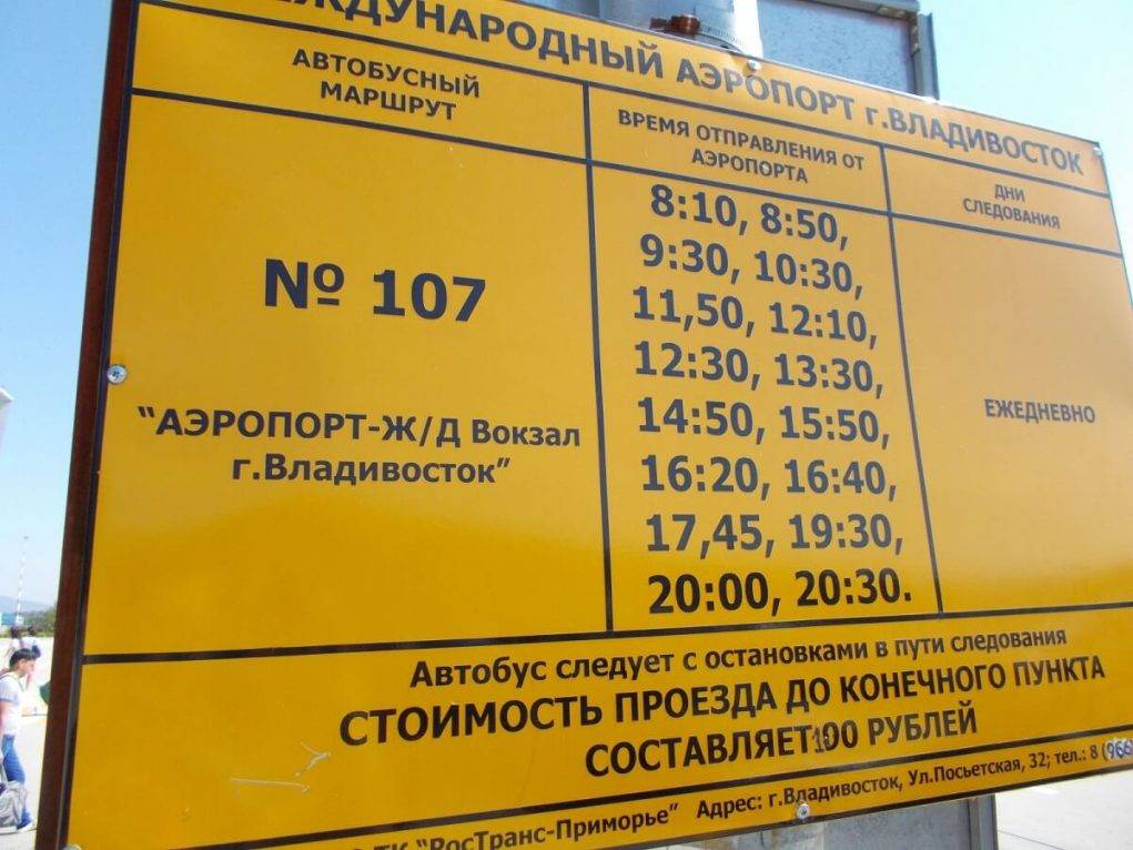Как добраться в аэропорт Владивостока Кневичи на автобусе
