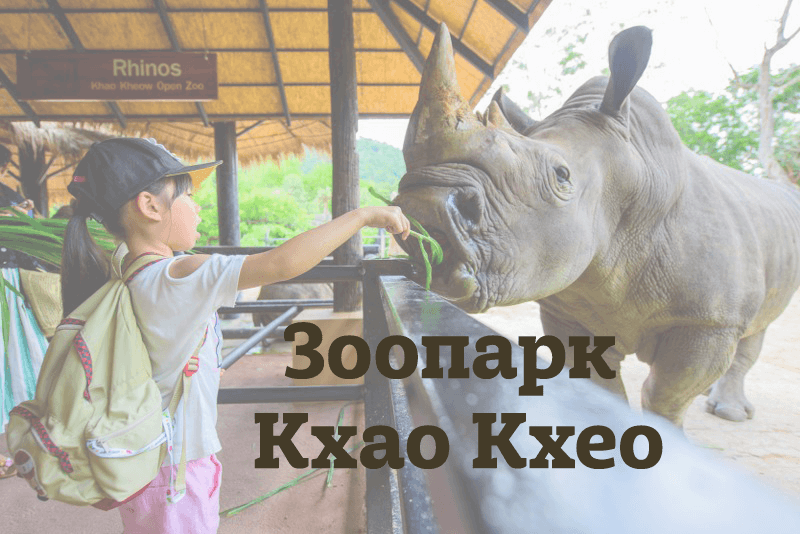 В мире животных в зоопарке кхао кхео | едем сами с ok_vickie