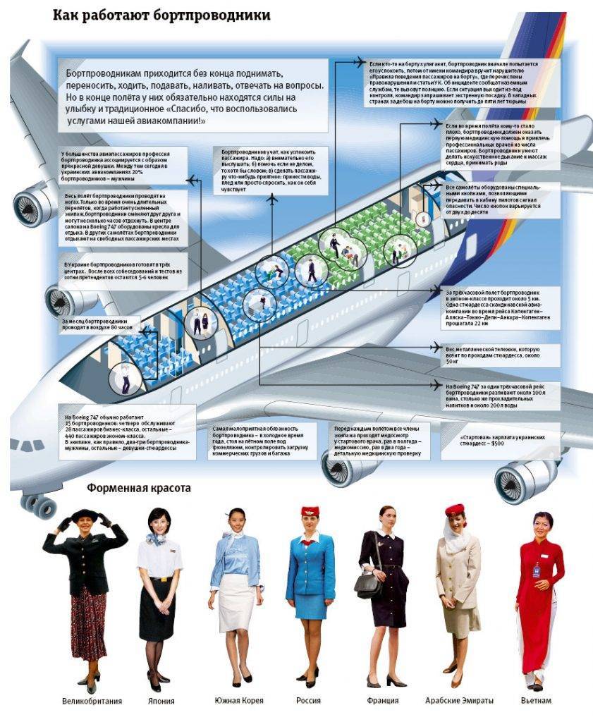 Зарплата стюардессы: от чего зависят доходы бортпроводника в россии и за рубежом