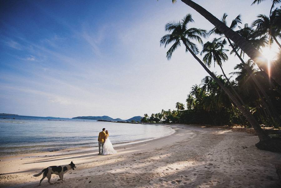 Остров ко чанг (тайланд) – достопримечательности, пляжи, отели, отзывы