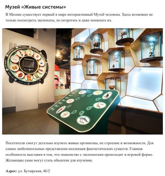 Топ 10 самых необычных музеев москвы с описанием и фото