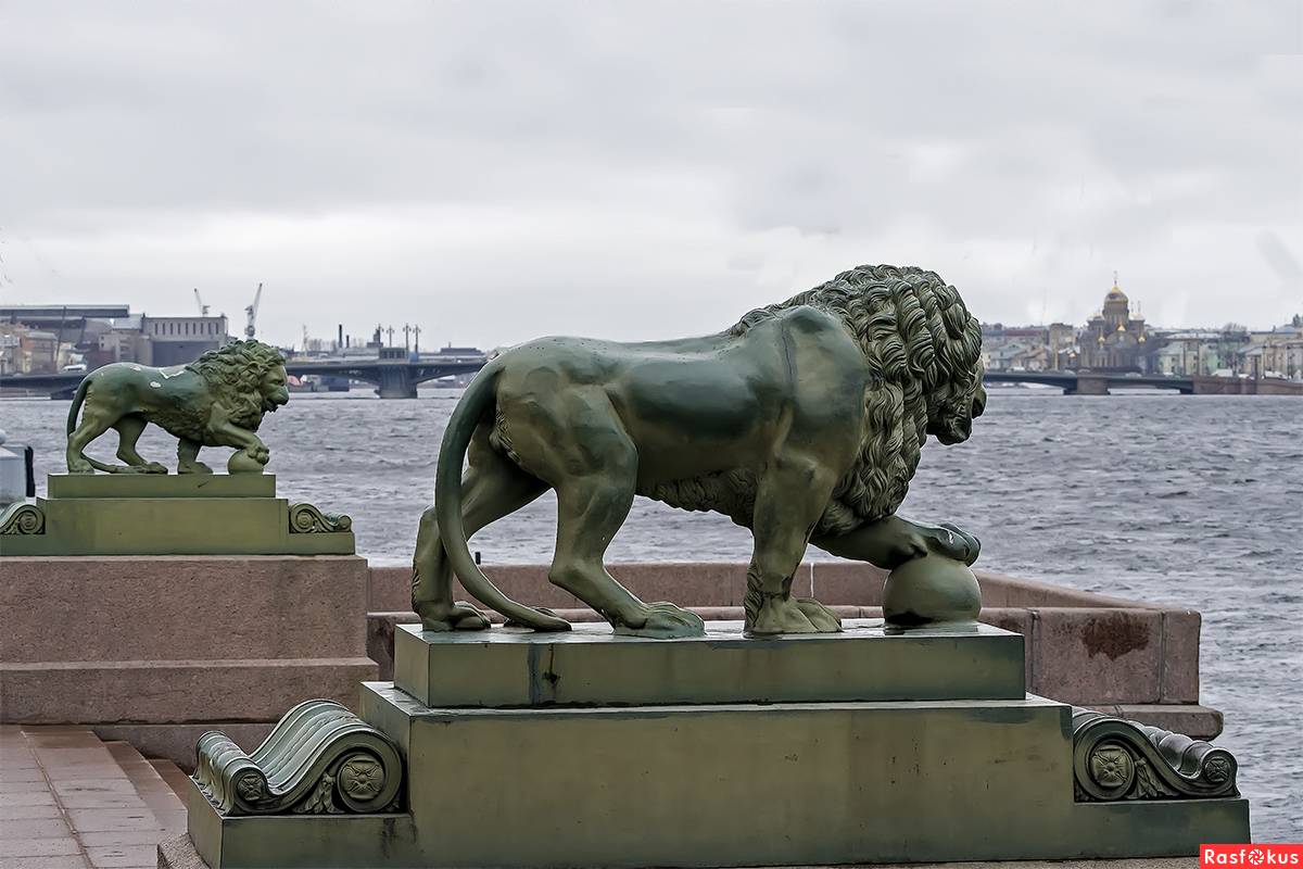Львиный мост в санкт-петербурге - скульптуры, описание, фото