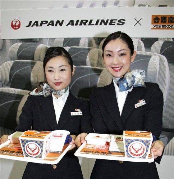 Национальная авиакомпания Японии «Japan airlines»
