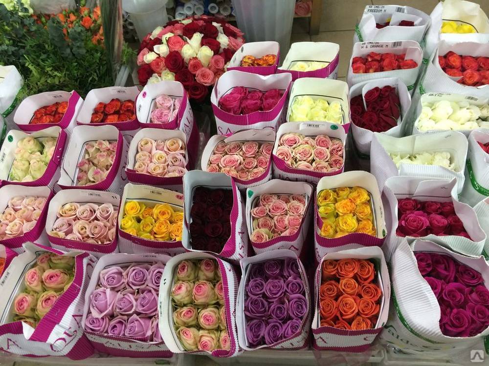 Цветы таиланда